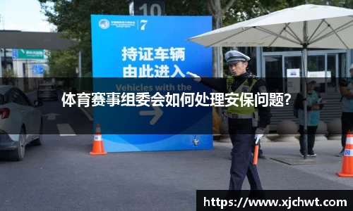 体育赛事组委会如何处理安保问题？